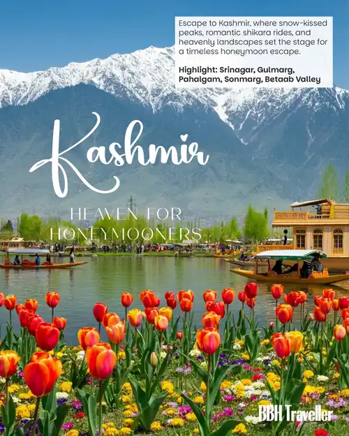 5 Handpicked Honeymoon Destination in India 