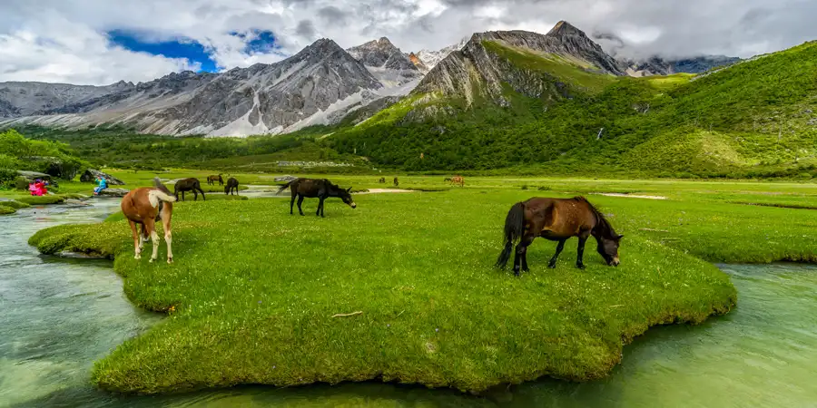 Jim Corbett and Nainital Tour Package For Group, 1752841744_494426-Glmrg.webp