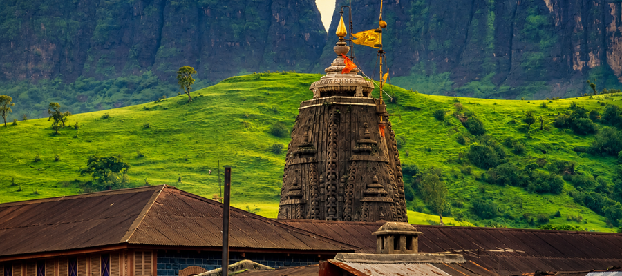 Nashik Vineyard Tour Package