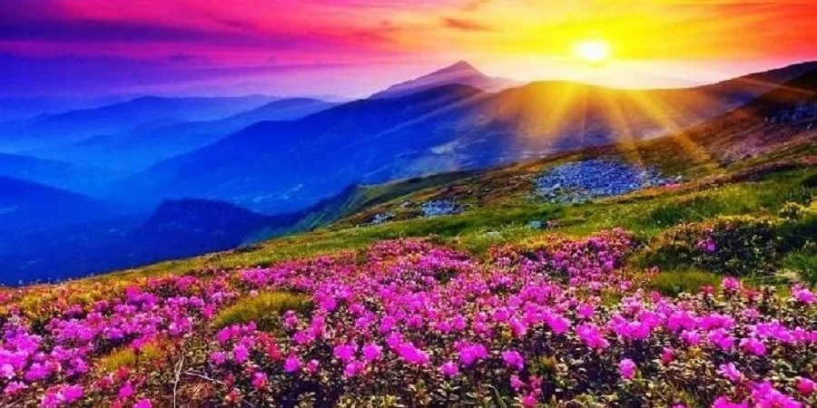 Valley of Flowers & Hemkund Sahib Tour 