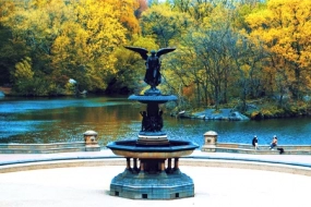 Srinagar Trip – Gardens, Valleys & Lakes