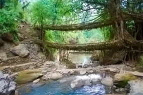 Meghalaya Explorer: Shillong Cherrapunjee Trip