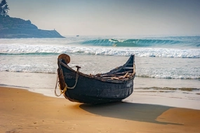 Kerala Tour Package- Cochin Munnar Thekkady & Alleppey