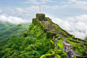 Misty Meadows of Mahabaleshwar